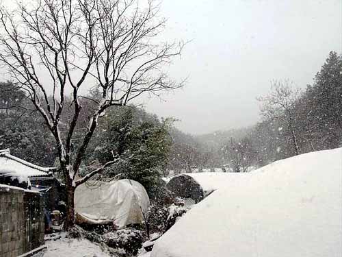 고향집 가기는 참 힘겹습니다. 